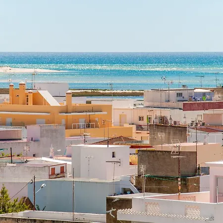 Estudios Salinas - Fuseta