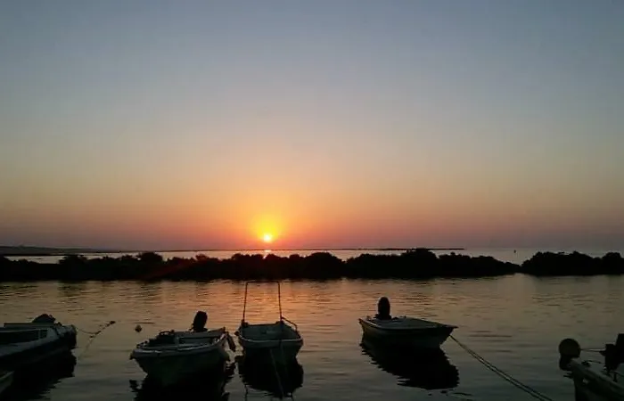 Estudios Salinas - アパート *