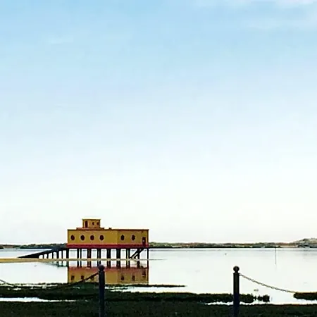 Estudios Salinas - *