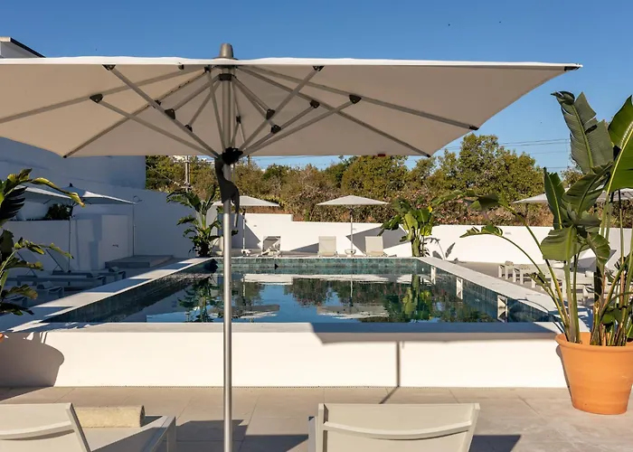 Estudios Salinas - * Fuseta