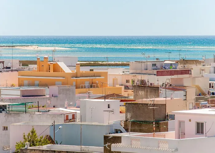 Estudios Salinas - Fuseta